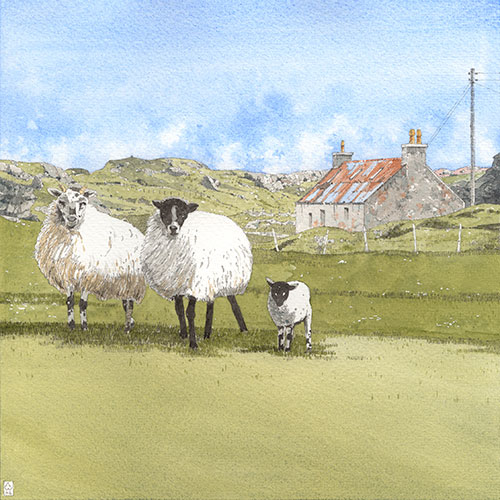 anna-eoghans-cottage-I